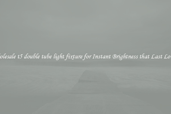 Wholesale t5 double tube light fixture for Instant Brightness that Last Longer