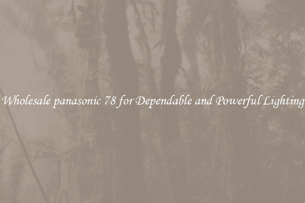 Wholesale panasonic 78 for Dependable and Powerful Lighting