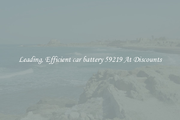 Leading, Efficient car battery 59219 At Discounts