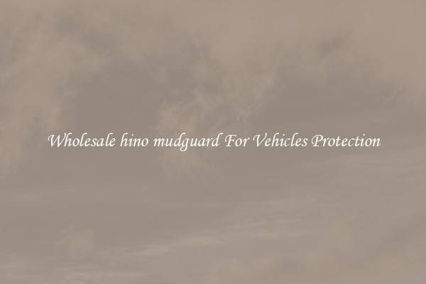 Wholesale hino mudguard For Vehicles Protection