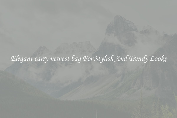 Elegant carry newest bag For Stylish And Trendy Looks