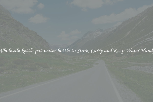 Wholesale kettle pot water bottle to Store, Carry and Keep Water Handy