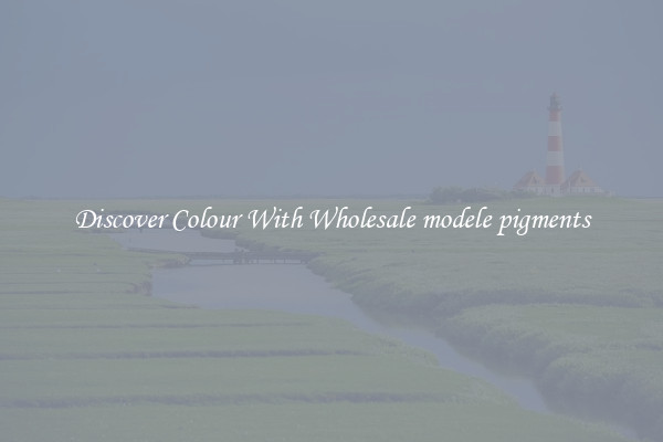 Discover Colour With Wholesale modele pigments