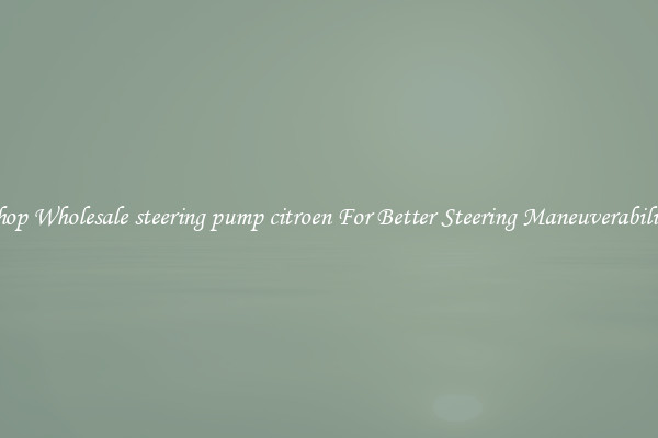 Shop Wholesale steering pump citroen For Better Steering Maneuverability
