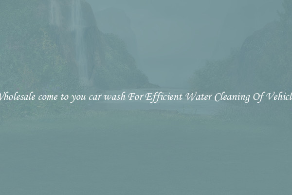 Wholesale come to you car wash For Efficient Water Cleaning Of Vehicles