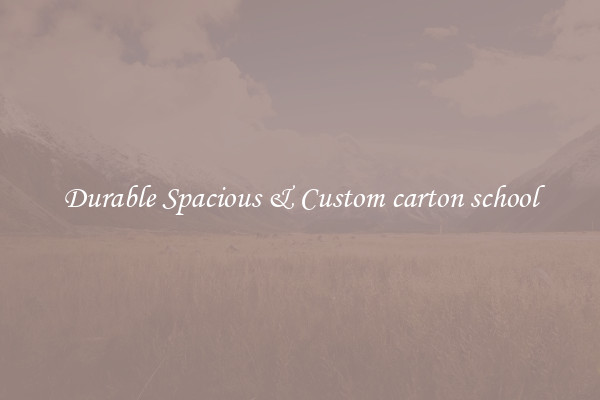 Durable Spacious & Custom carton school