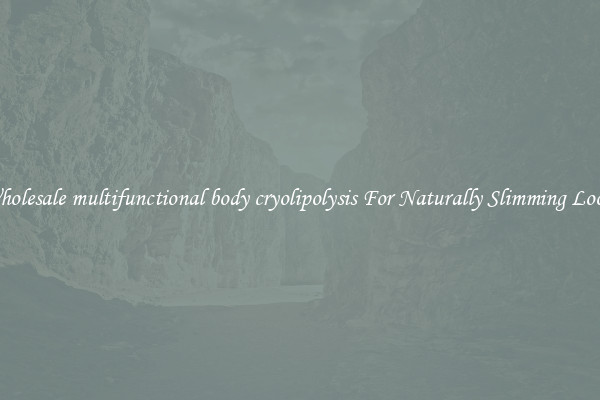 Wholesale multifunctional body cryolipolysis For Naturally Slimming Looks