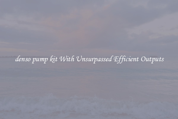denso pump kit With Unsurpassed Efficient Outputs