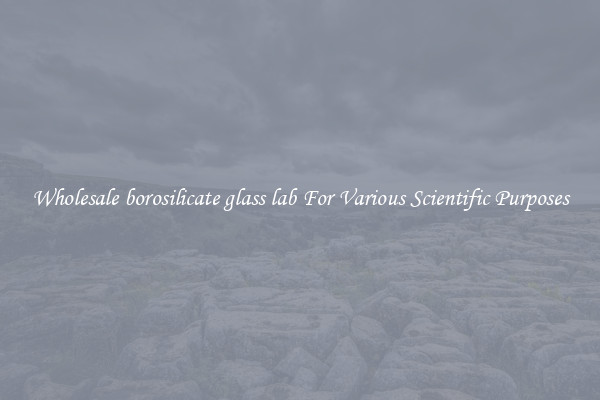 Wholesale borosilicate glass lab For Various Scientific Purposes