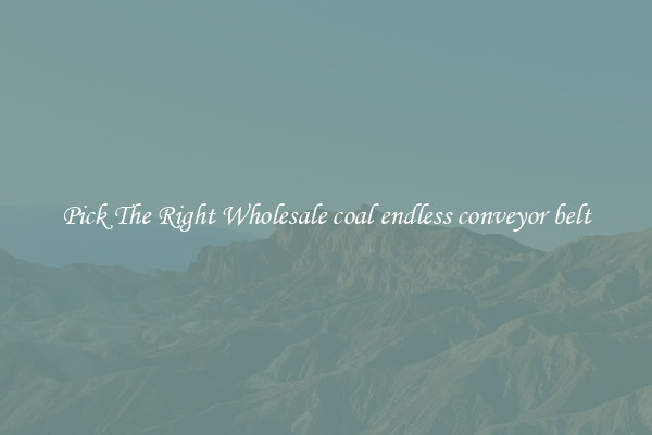 Pick The Right Wholesale coal endless conveyor belt