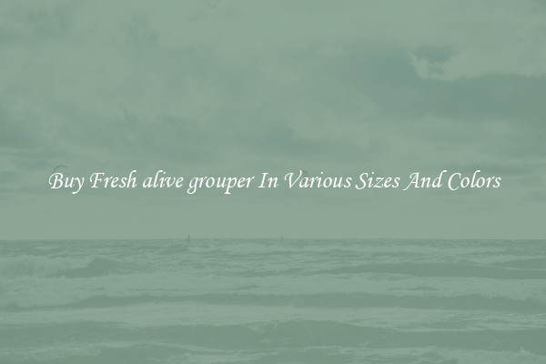 Buy Fresh alive grouper In Various Sizes And Colors