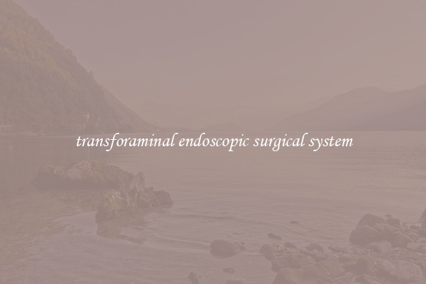 transforaminal endoscopic surgical system