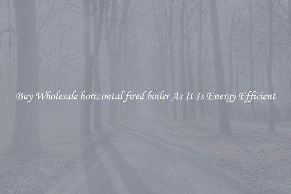 Buy Wholesale horizontal fired boiler As It Is Energy Efficient