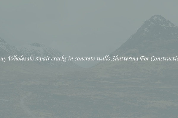 Buy Wholesale repair cracks in concrete walls Shuttering For Construction