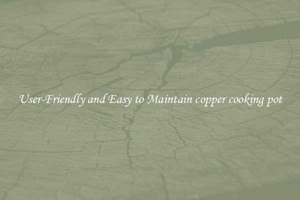 User-Friendly and Easy to Maintain copper cooking pot